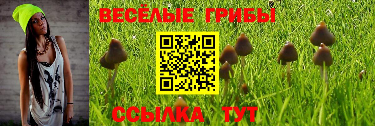 Галлюциногенные грибы Cubensis Моздок