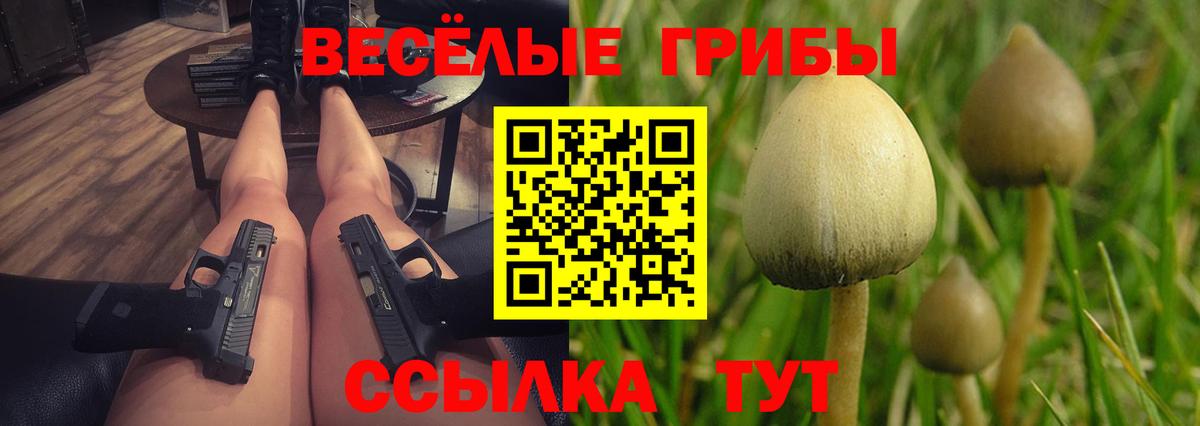 Галлюциногенные грибы мицелий  Вход с VPN  Моздок 